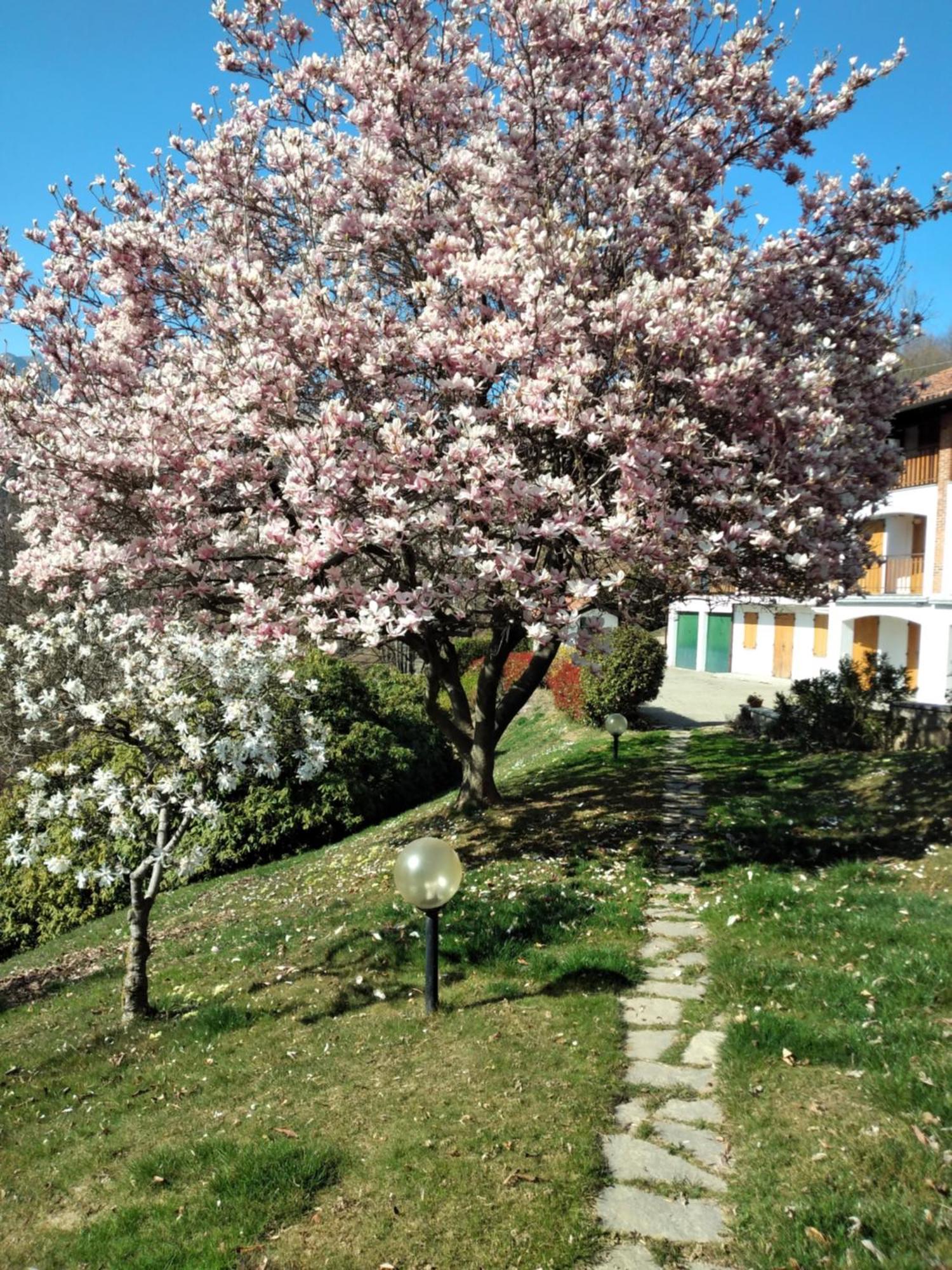 Appartamento A Due Passi Da Burcina Favaro Ngoại thất bức ảnh